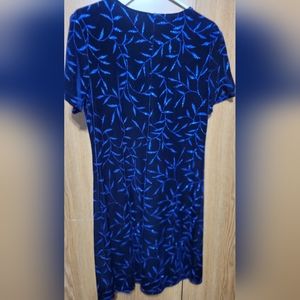 Vintage Velvet Dress